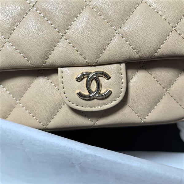 2026127213716241 730